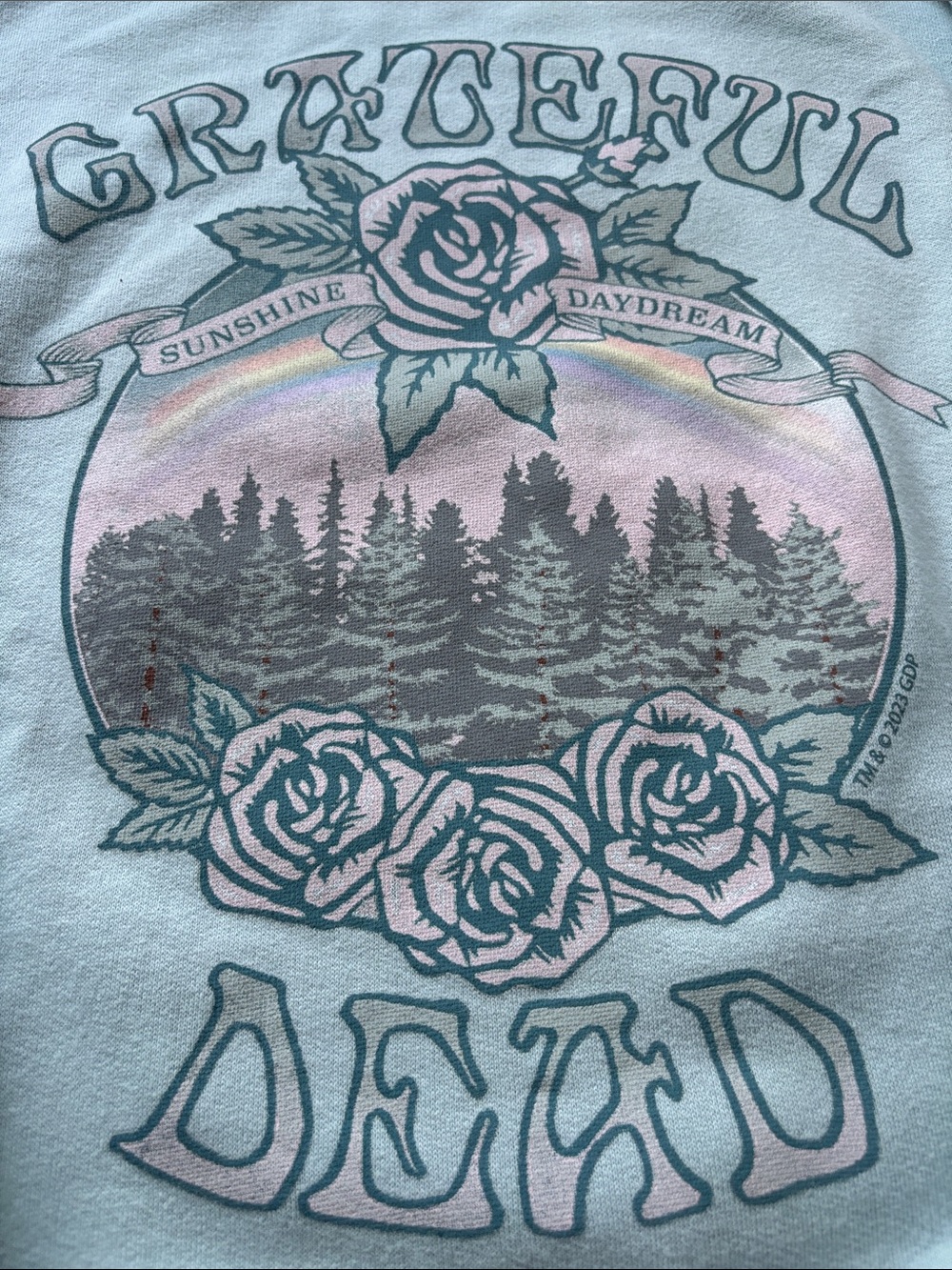 Abercrombie Grateful Dead Mint Green Crewneck Sweatshirt Size 11-12